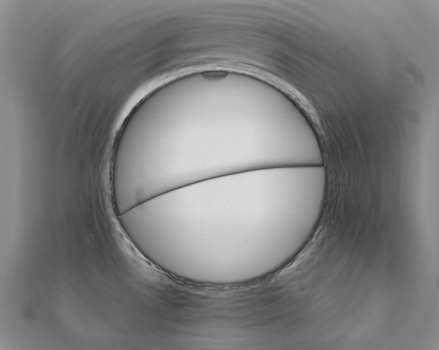 X0000111231530200908131112