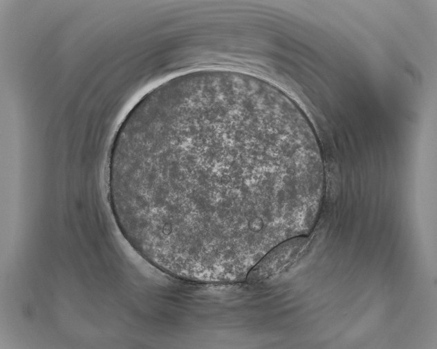 X0000111231531200908131112