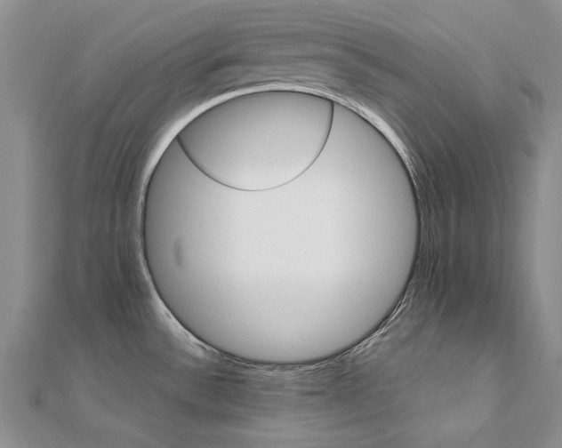 X0000111231532200908131112