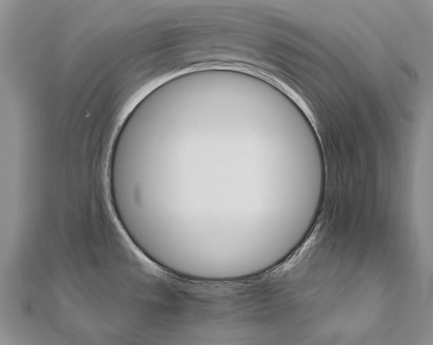 X0000111231533200908131112