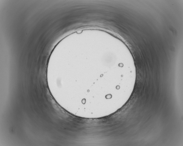 X0000111231534200908131112
