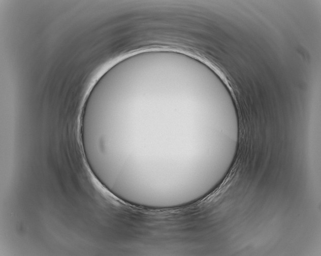 X0000111231535200908131112