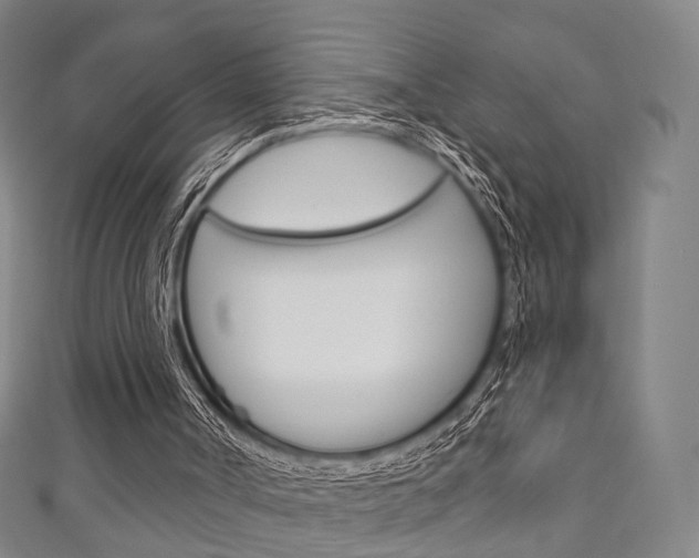X0000111240002200907021008