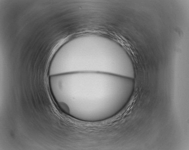 X0000111240003200907021008