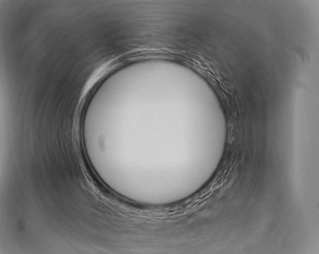 X0000111240004200907021008