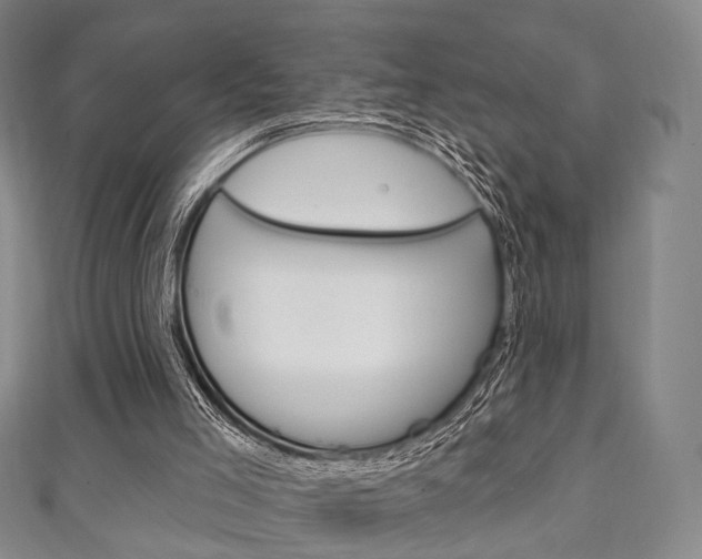 X0000111240005200907021008