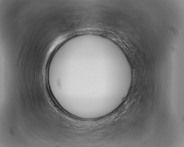 X0000111240006200907021008