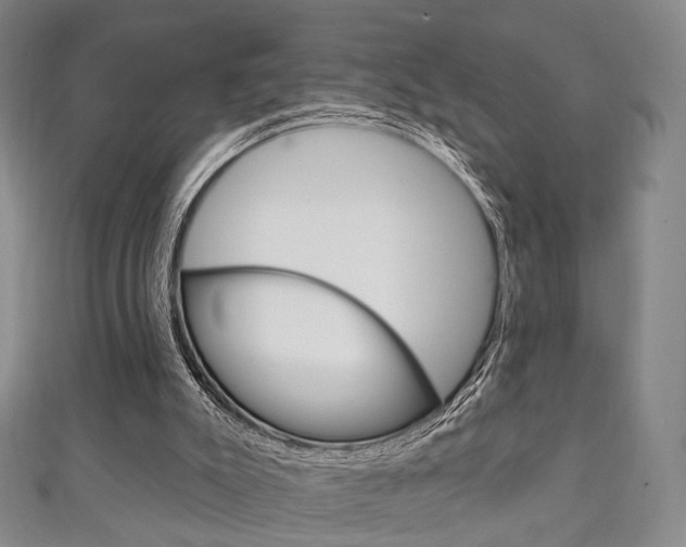X0000111240007200907021008