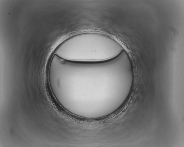 X0000111240008200907021008