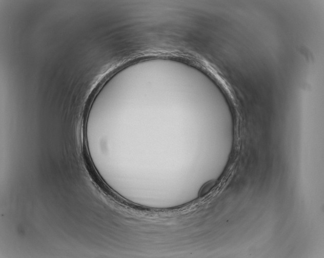 X0000111240011200907021008