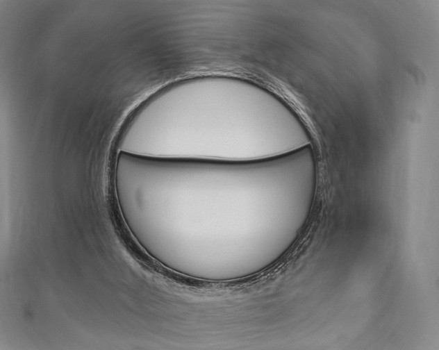 X0000111240012200907021008