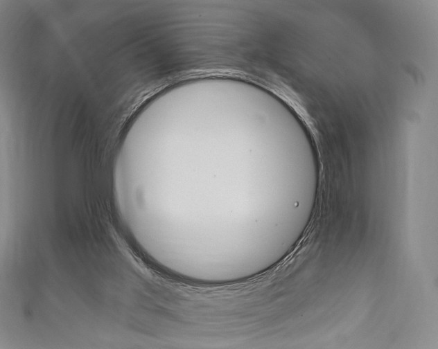 X0000111240013200907021008