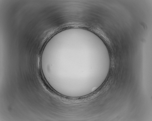 X0000111240014200907021008