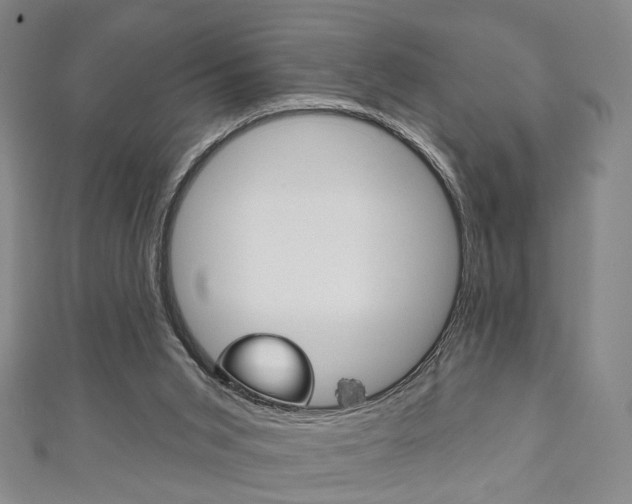 X0000111240015200907021008