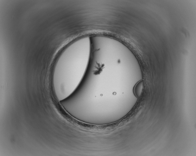 X0000111240016200907021008