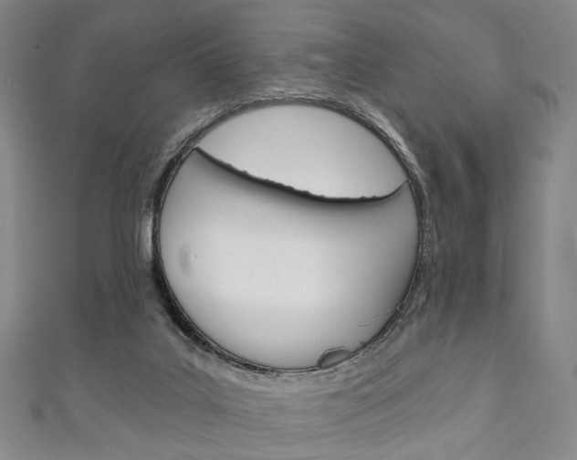 X0000111240019200907021008