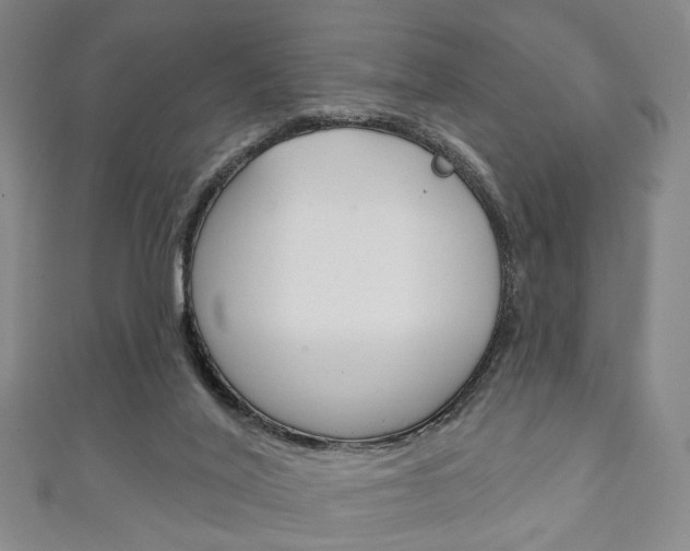 X0000111240020200907021008