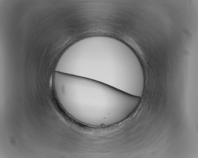 X0000111240021200907021008