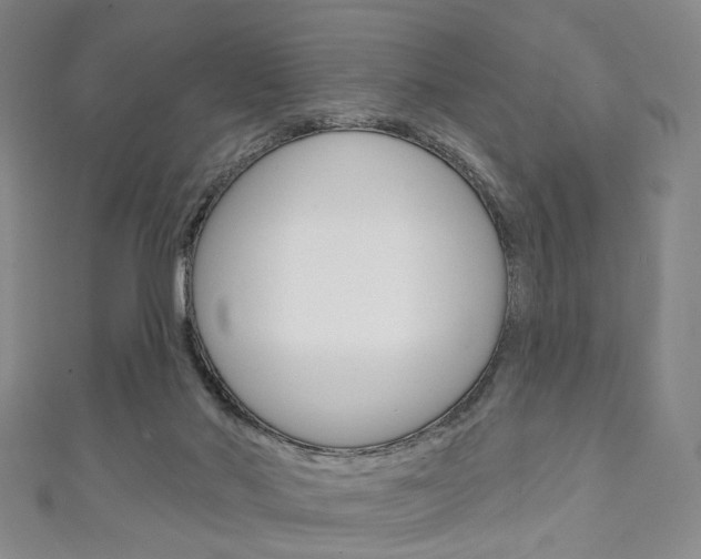 X0000111240022200907021008