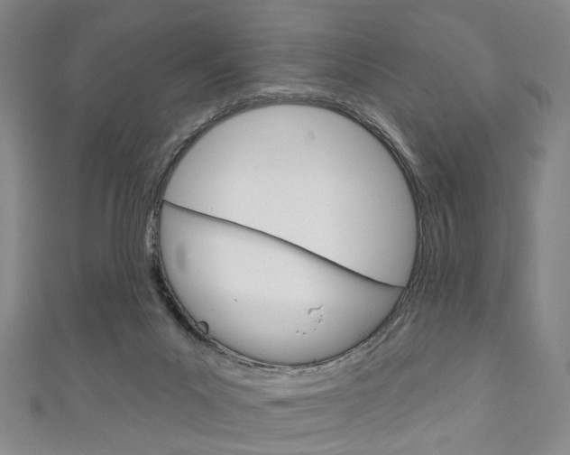 X0000111240023200907021008