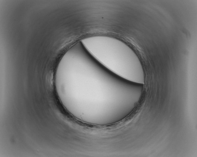 X0000111240024200907021008
