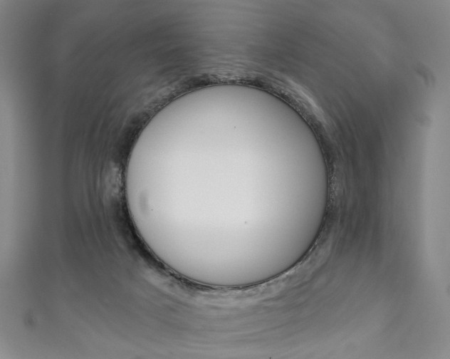 X0000111240025200907021008