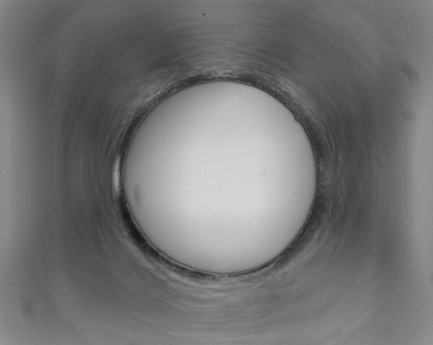 X0000111240028200907021008