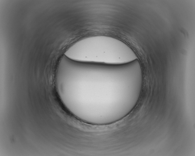 X0000111240031200907021008