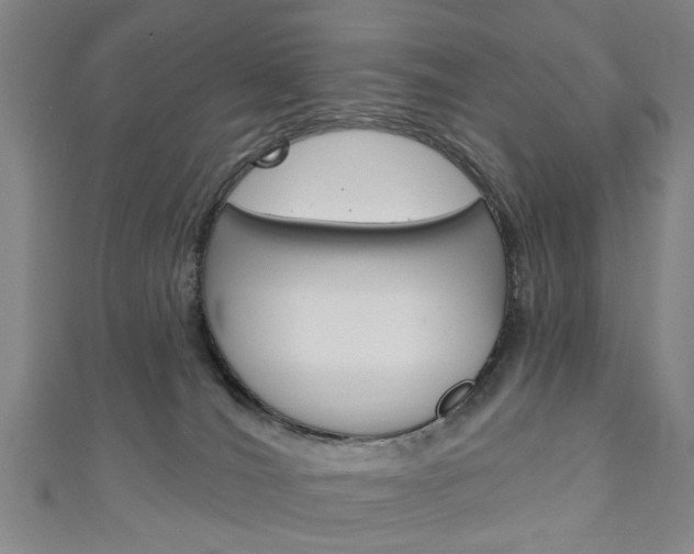 X0000111240036200907021008