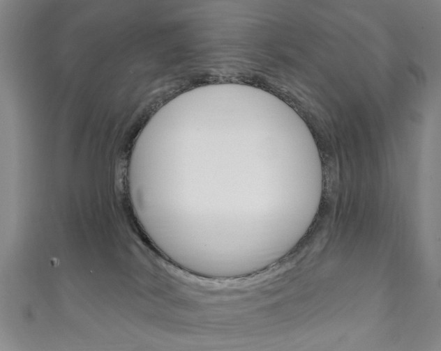 X0000111240038200907021008