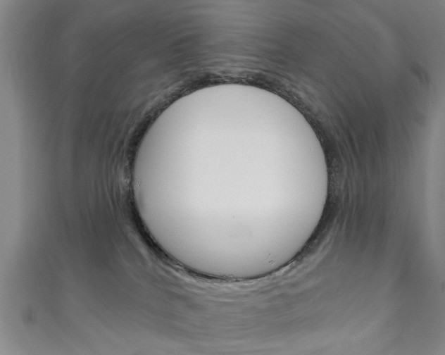 X0000111240040200907021008