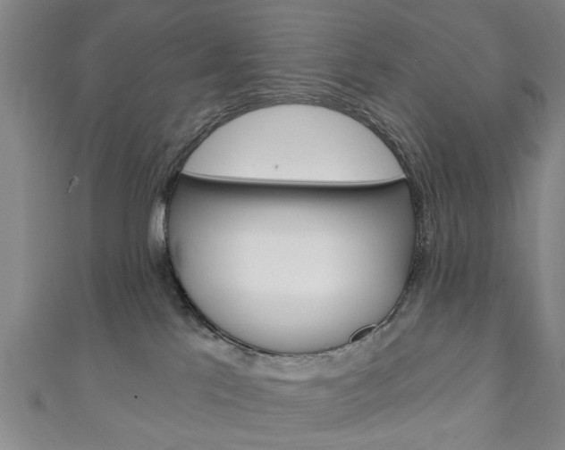 X0000111240041200907021008