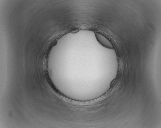 X0000111240043200907021008