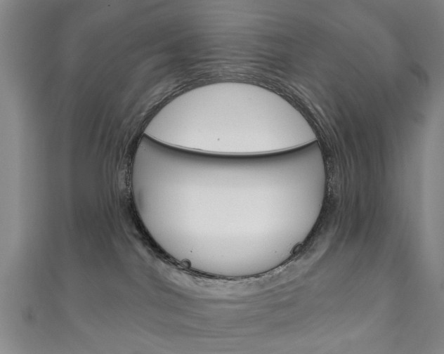 X0000111240044200907021008
