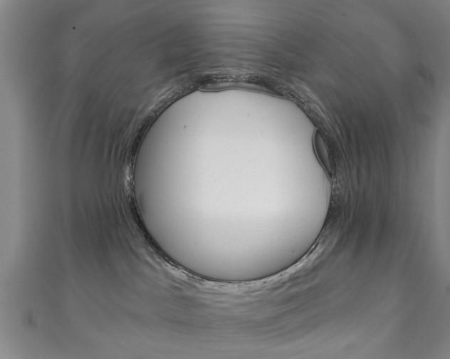 X0000111240045200907021008