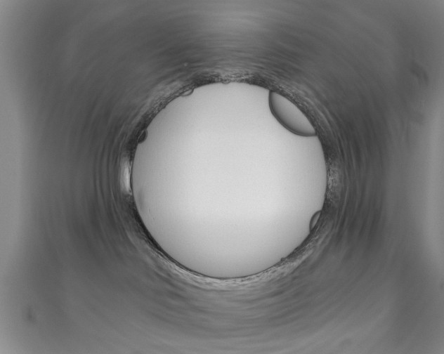 X0000111240046200907021008