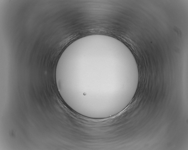 X0000111240047200907021008