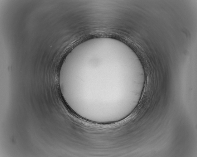 X0000111240048200907021008