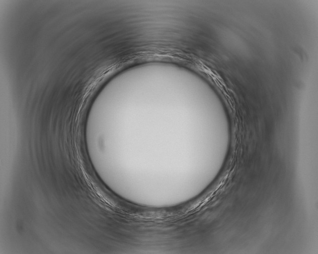 X0000111240049200907021007