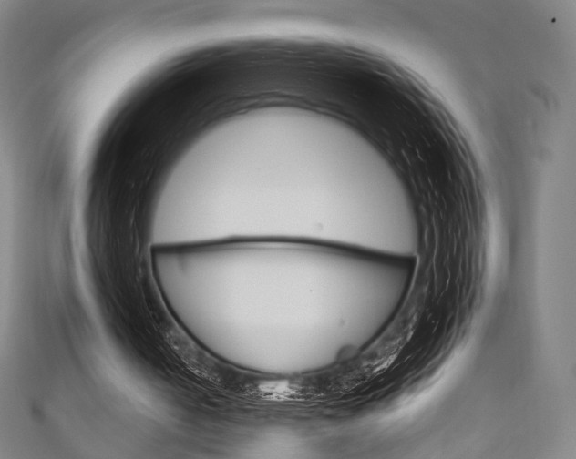 X0000111240050200907021007