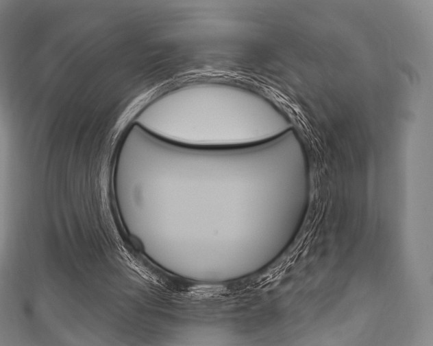 X0000111240051200907021007