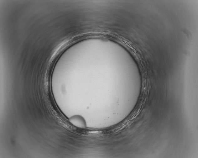 X0000111240053200907021007