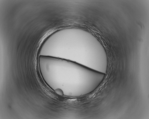 X0000111240054200907021007