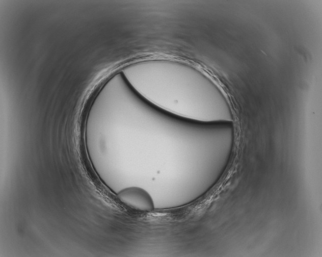X0000111240055200907021007