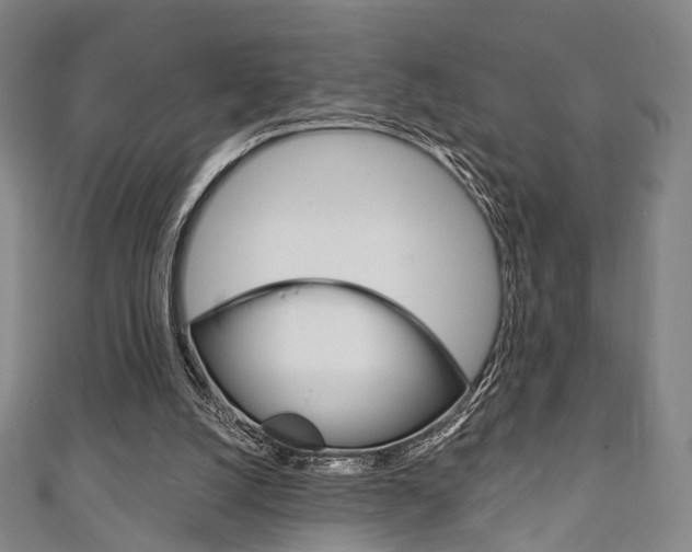 X0000111240056200907021007