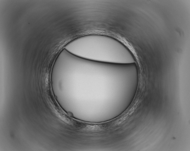 X0000111240057200907021007