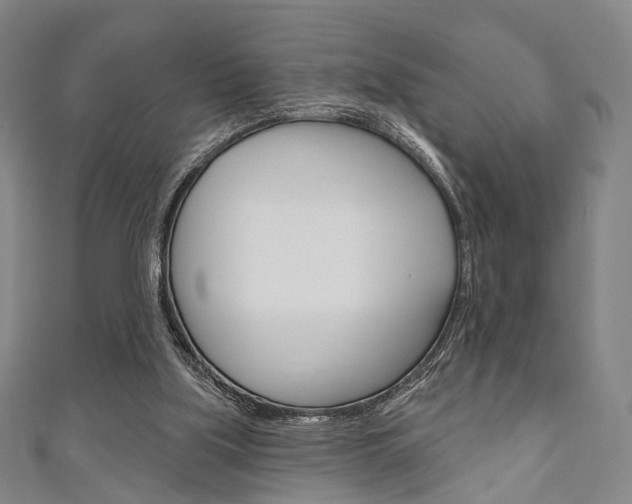 X0000111240059200907021007