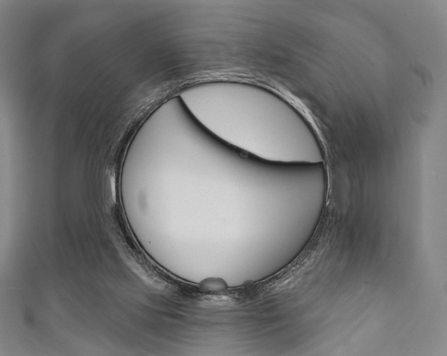 X0000111240061200907021007