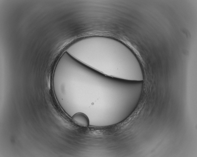 X0000111240062200907021007