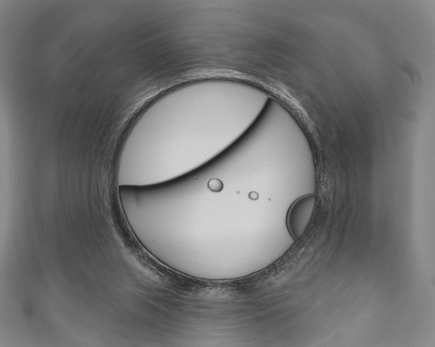 X0000111240063200907021007